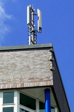 Auf dem Ortsamt Flachsland