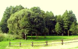 Die Gegend am See