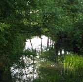 Forellenfang im Fluß